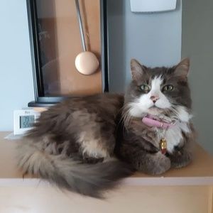 Meet your Posher, Doris